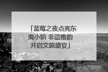 蓝莓之夜点亮东夷小镇 非遗雅韵开启文旅盛宴